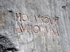 chartreuse-malissard-inscription-romaine.jpg
