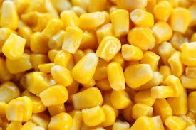 maïs 2.jpg